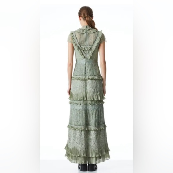 Alice + Olivia “Albertine” Lace Embroidered Maxi Dress | Pale Green | NWT - Picture 2 of 14